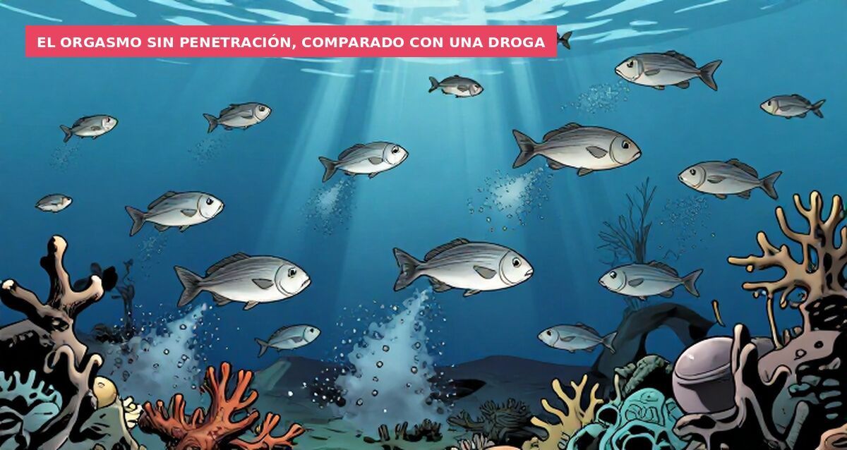 El orgasmo sin penetración, comparado con una droga