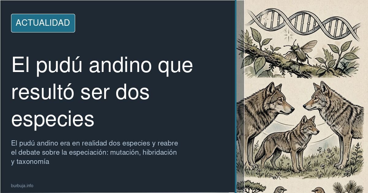 Ilustración editorial de un pudú andino, la especie que resultó ser dos