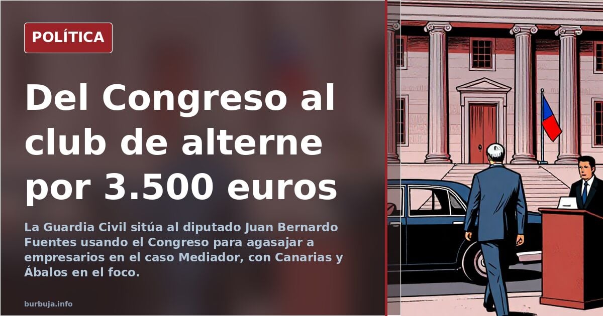 Mediator Case: Parties, Bribes, and Congress as a Lure