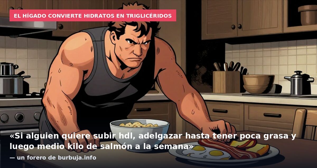 El hígado convierte hidratos en triglicéridos: «Si alguien quiere subir hdl, adelgazar hasta tener poca grasa y luego medio kilo de salmón a la semana» — un forero de burbuja.info