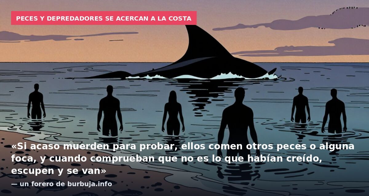 Peces y depredadores se acercan a la costa: «Si acaso muerden para probar, ellos comen otros peces o alguna foca, y cuando comprueban que no es lo que habían creído, escupen y se van» — un forero de burbuja.info