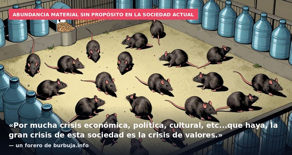 Abundancia material sin propósito en la sociedad actual: «Por mucha crisis económica, política, cultural, etc...que haya, la gran crisis de esta sociedad es la crisis de valores.» — un forero de burbuja.info