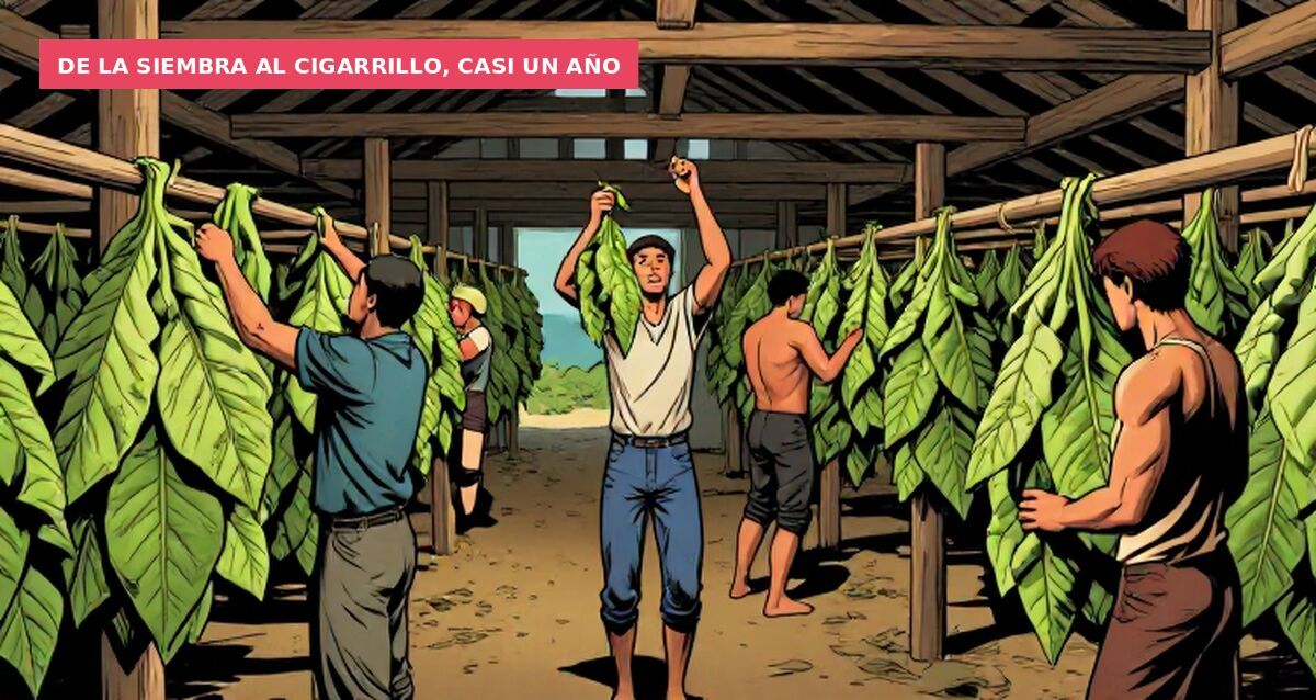 De la siembra al cigarrillo, casi un año