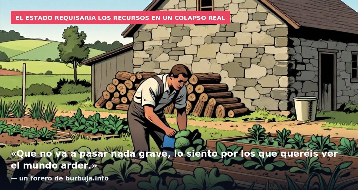 El Estado requisaría los recursos en un colapso real: «Que no va a pasar nada grave, lo siento por los que queréis ver el mundo arder.» — un forero de burbuja.info