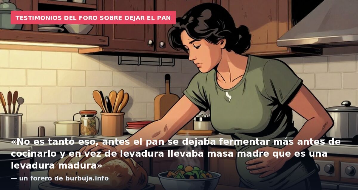 Testimonios del foro sobre dejar el pan: «No es tanto eso, antes el pan se dejaba fermentar más antes de cocinarlo y en vez de levadura llevaba masa madre que es una levadura madura» — un forero de burbuja.info