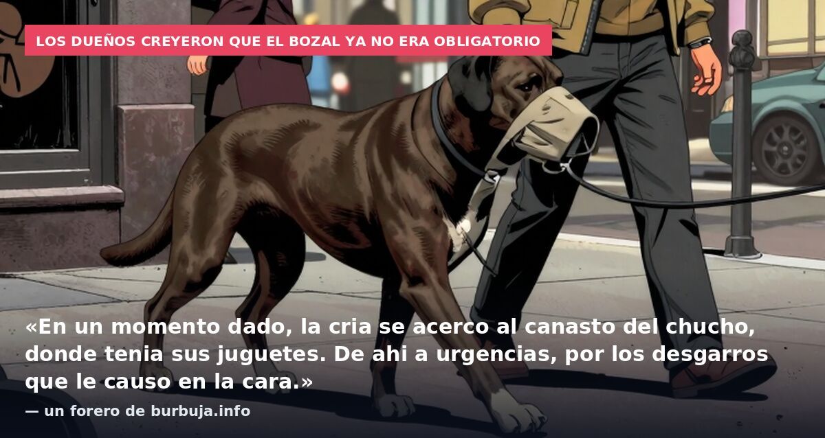 Los dueños creyeron que el bozal ya no era obligatorio: «En un momento dado, la cria se acerco al canasto del chucho, donde tenia sus juguetes. De ahi a urgencias, por los desgarros que le causo en la cara.» — un forero de burbuja.info
