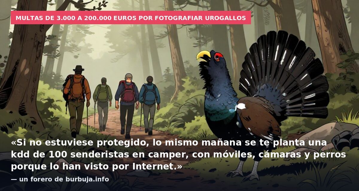 Multas de 3.000 a 200.000 euros por fotografiar urogallos: «Si no estuviese protegido, lo mismo mañana se te planta una kdd de 100 senderistas en camper, con móviles, cámaras y perros porque lo han visto por Internet.» — un forero de burbuja.info