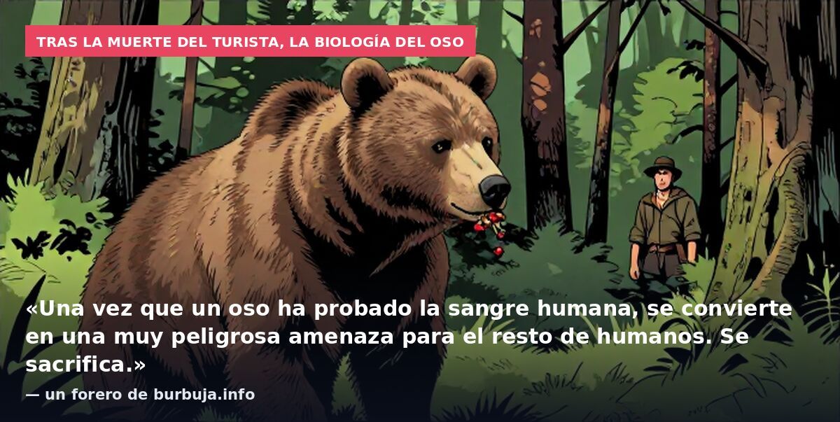 Tras la muerte del turista, la biología del oso: «Una vez que un oso ha probado la sangre humana, se convierte en una muy peligrosa amenaza para el resto de humanos. Se sacrifica.» — un forero de burbuja.info