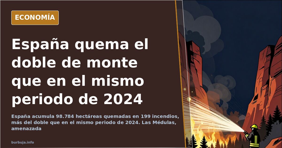 Vista aérea de un monte calcinado por los incendios forestales en España, con columnas de humo en el horizonte