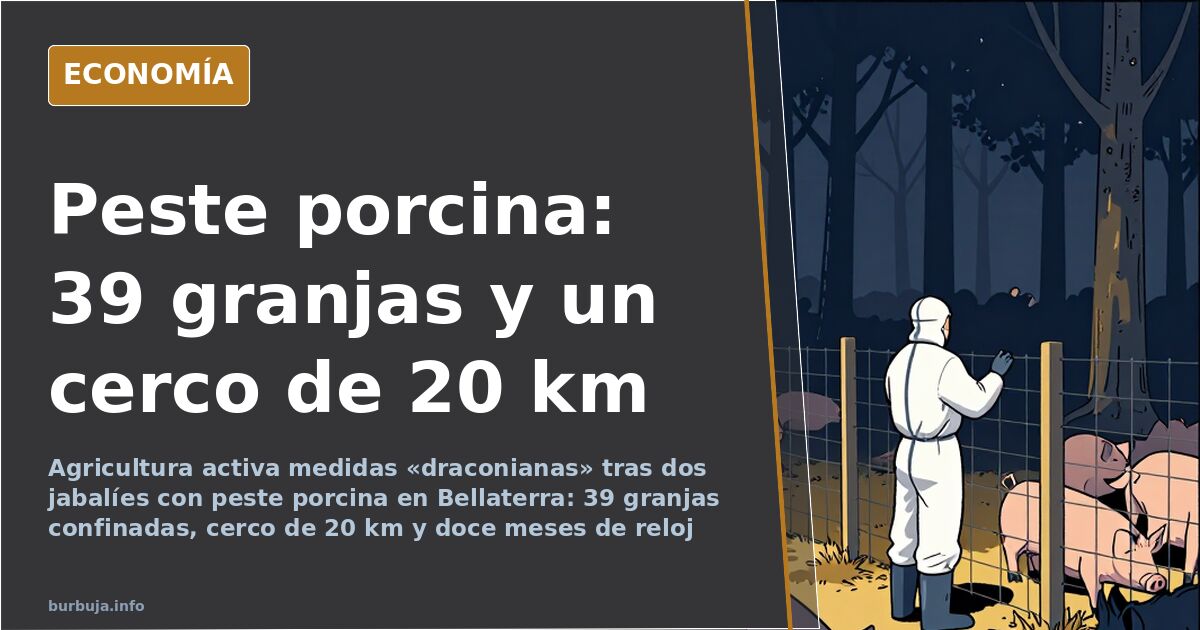 Jabalí en zona forestal cercana a Bellaterra, epicentro del brote de peste porcina africana con 39 granjas confinadas