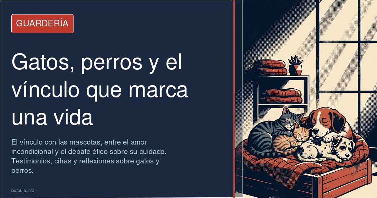 El vínculo con las mascotas, entre el amor incondicional y el debate ético sobre su cuidado. Testimonios, cifras y reflexione
