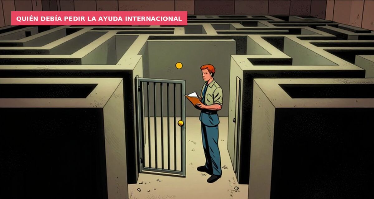 Quién debía pedir la ayuda internacional
