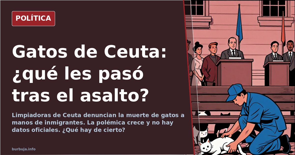 Cats vanish in Ceuta following migrant influx