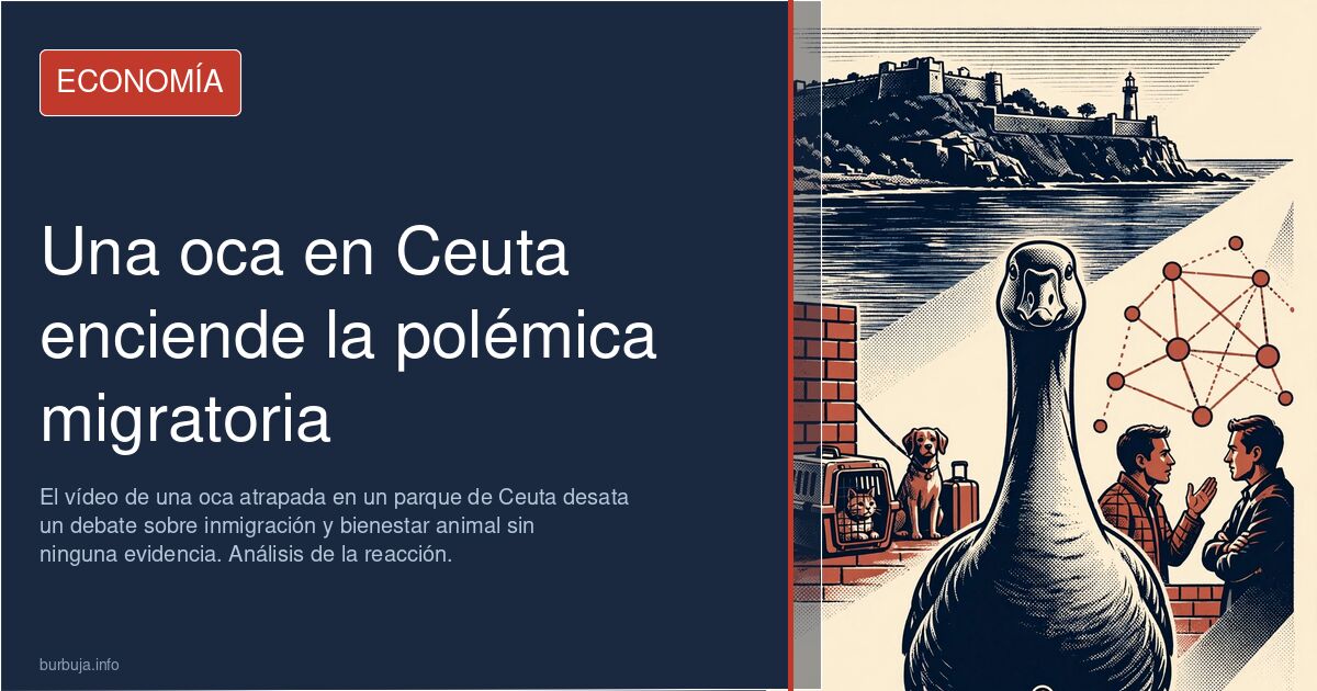 Una oca nadando en el agua de un parque público, imagen de referencia del caso de maltrato animal en Ceuta