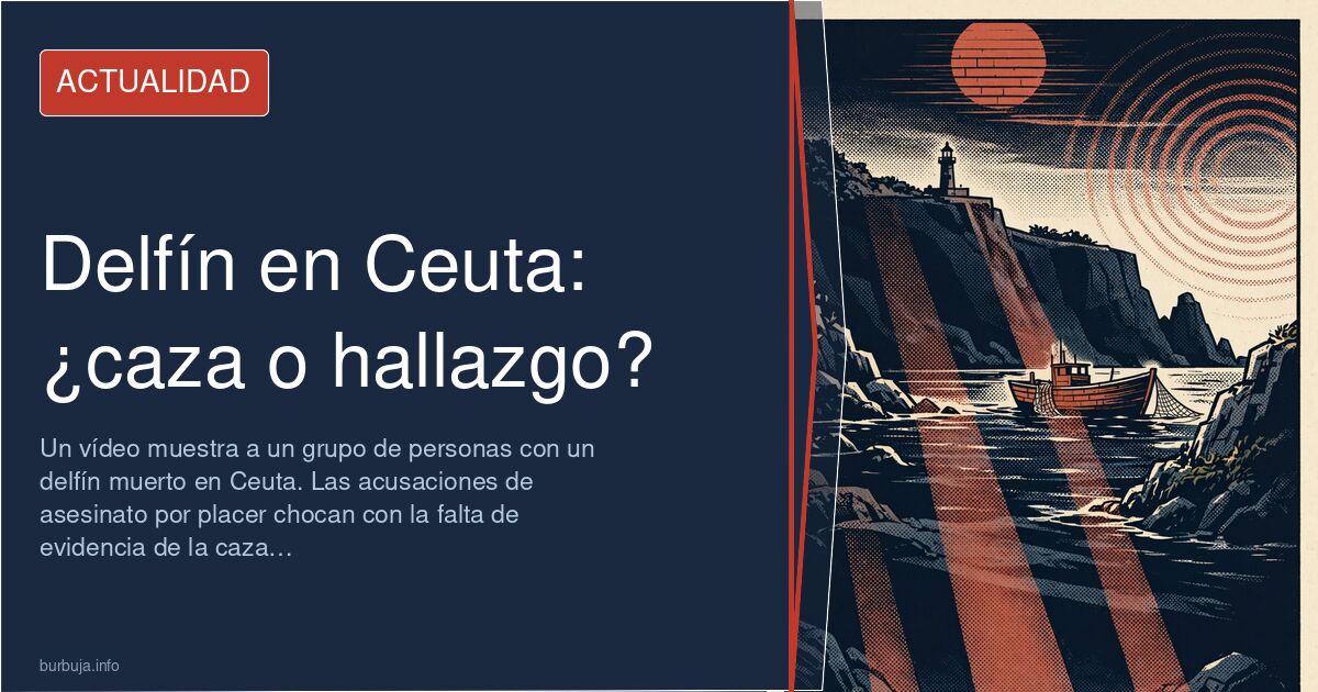 Delfín muerto en una playa de Ceuta rodeado de personas