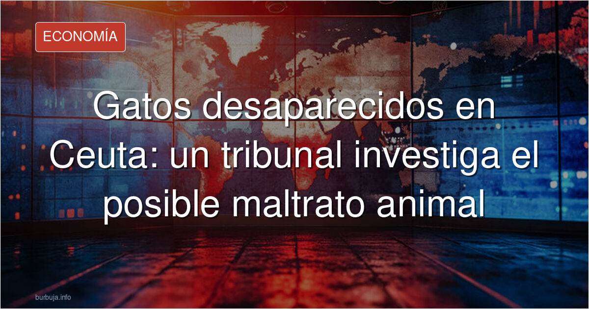 Un tribunal de Ceuta investiga la desaparición de los gatos en siete zonas de la ciudad