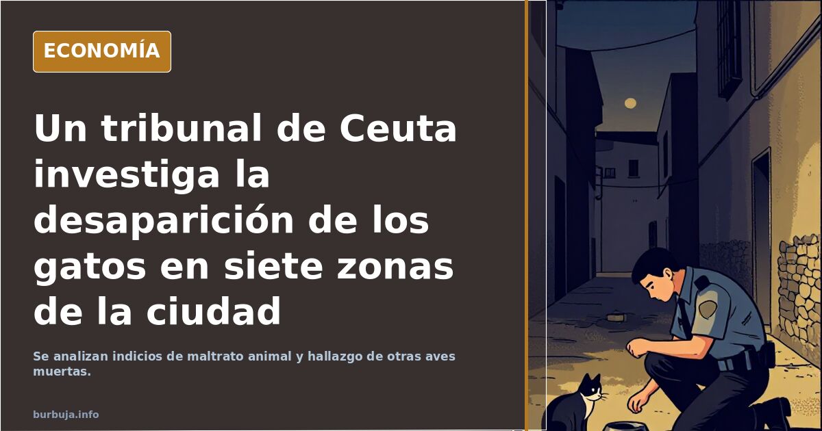 Un tribunal de Ceuta investiga la desaparición de los gatos en siete zonas de la ciudad