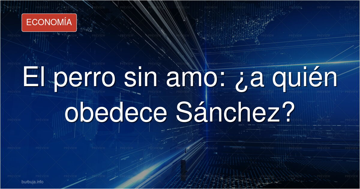 Pedro Sánchez en un mitin, con la frase del perro sin amo