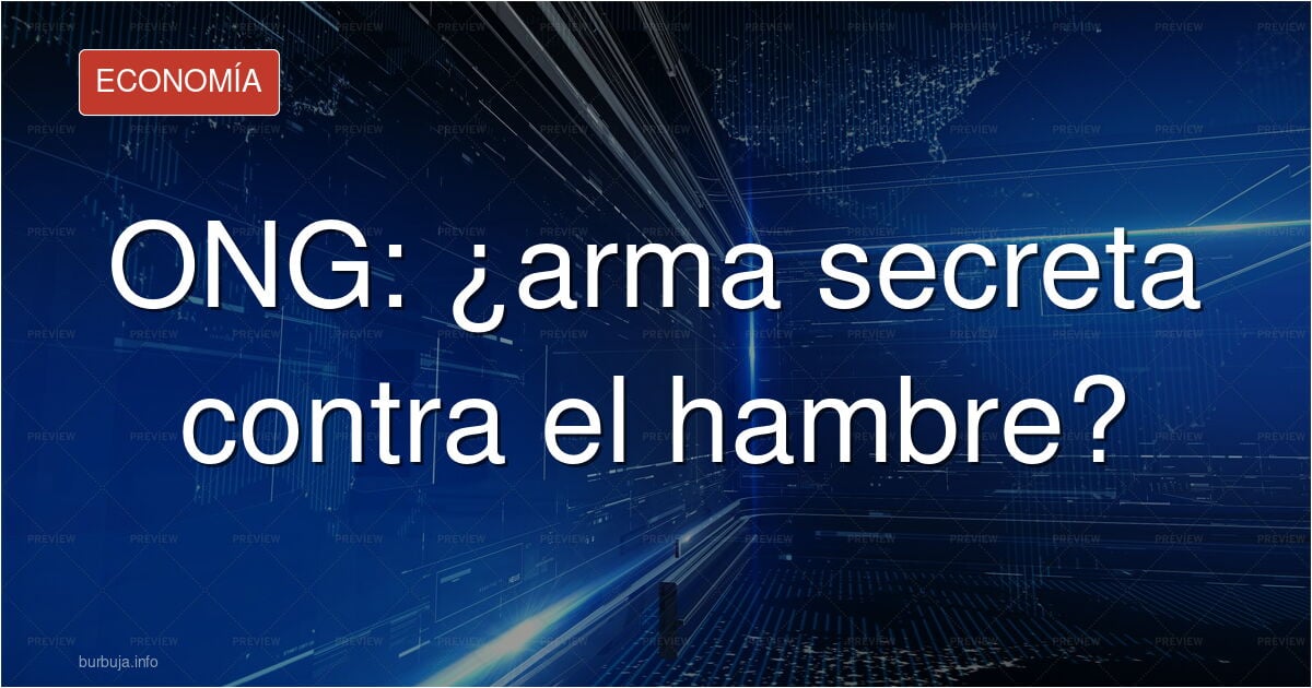 ¿Cual es el papel de Ingenieros sin Frontreras, Médicos sin Fronteras y las ONG's  ONG's de Desarrollo en parar el hambre en el mundo?