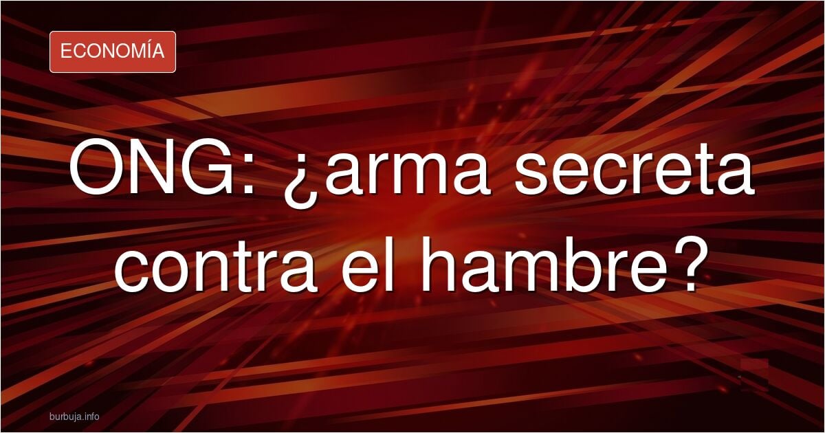 ¿Cual es el papel de Ingenieros sin Frontreras, Médicos sin Fronteras y las ONG's ONG's de Desarrollo en parar el hambre en el mundo?