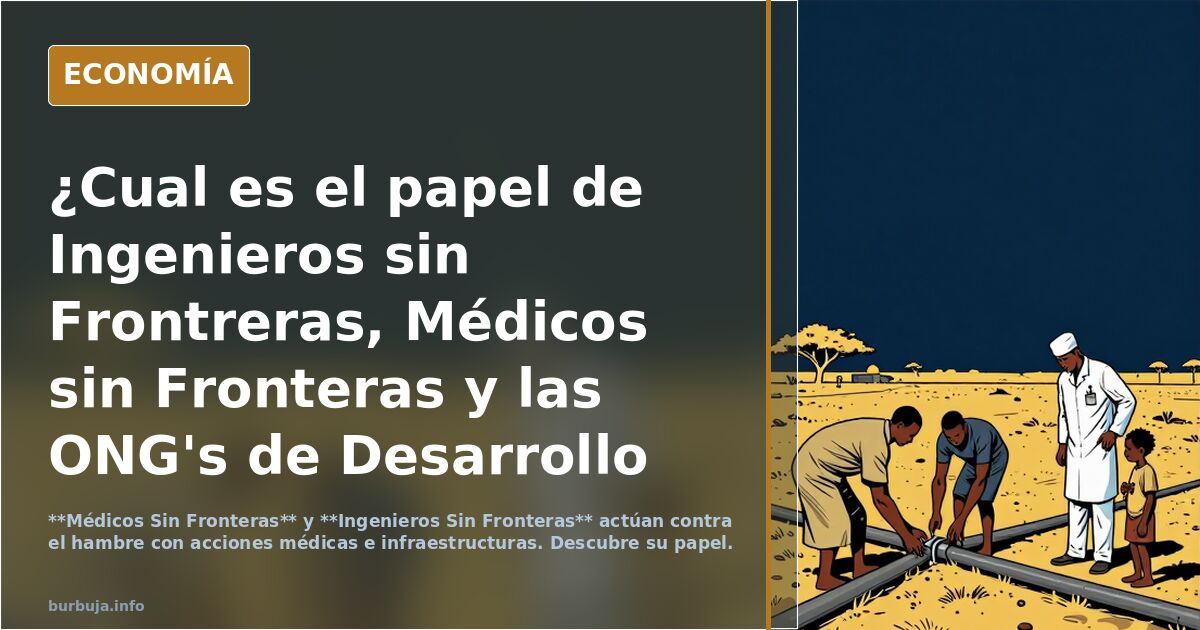 ¿Cual es el papel de Ingenieros sin Frontreras, Médicos sin Fronteras y las ONG's  de Desarrollo en parar el hambre en el mundo?