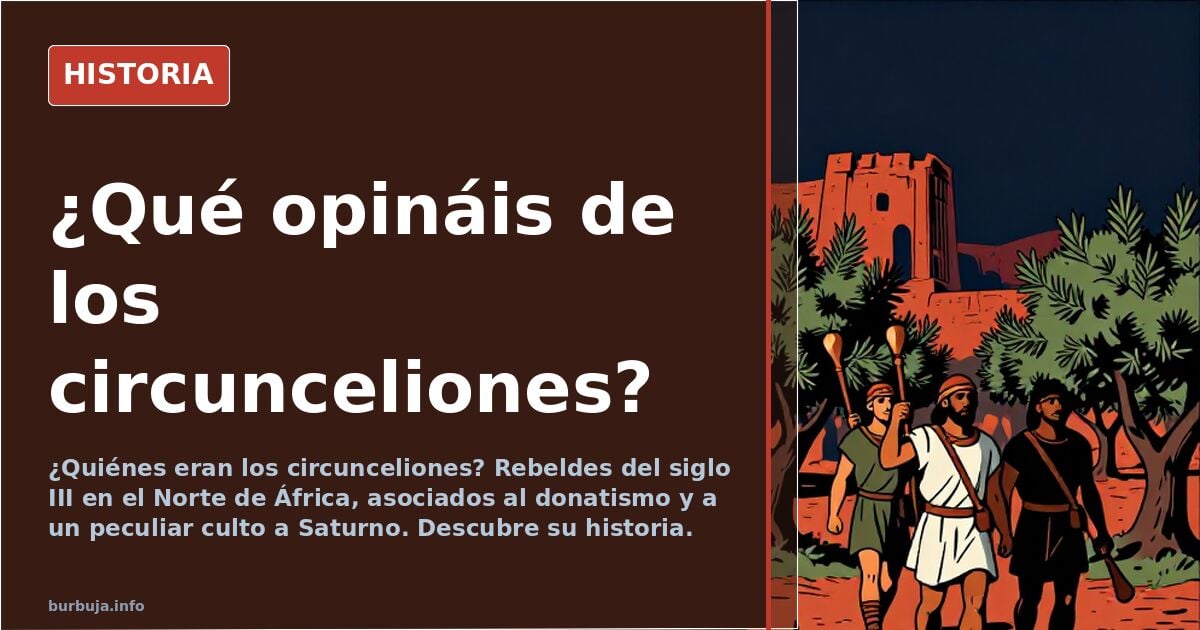¿Qué opináis de los circunceliones?