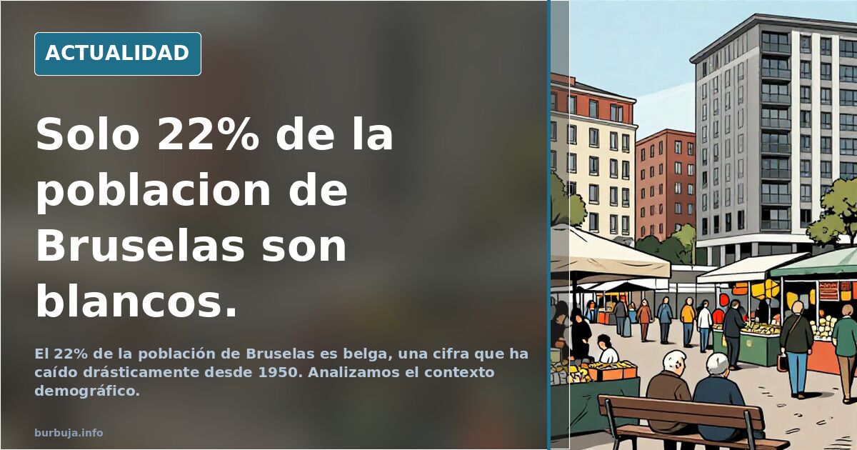 Solo 22% de la poblacion de Bruselas son blancos.