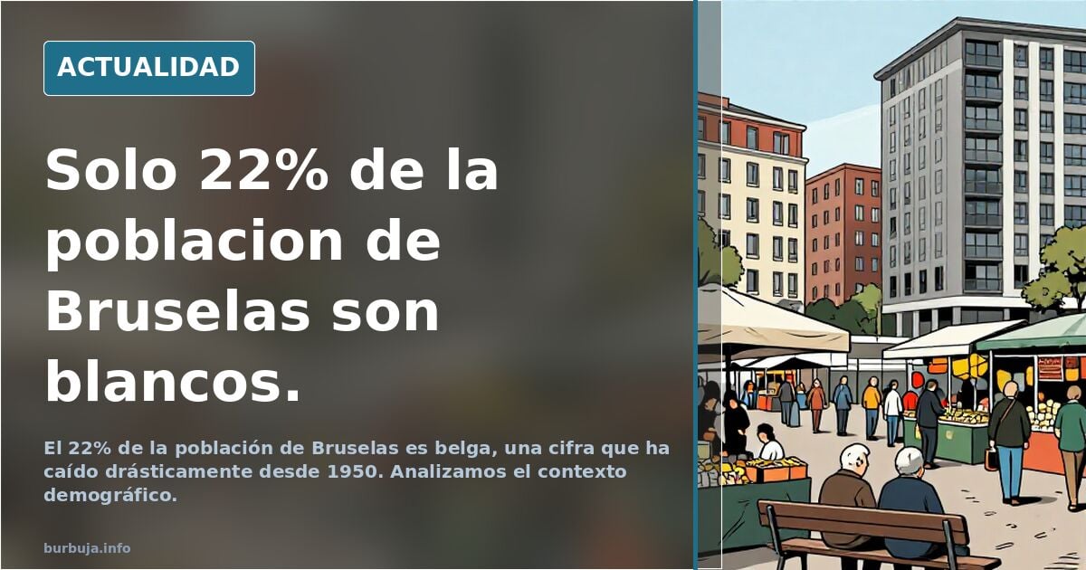 Solo 22% de la poblacion de Bruselas son blancos.