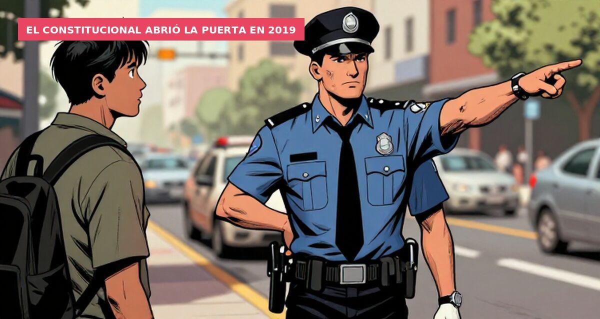 El Constitucional abrió la puerta en 2019