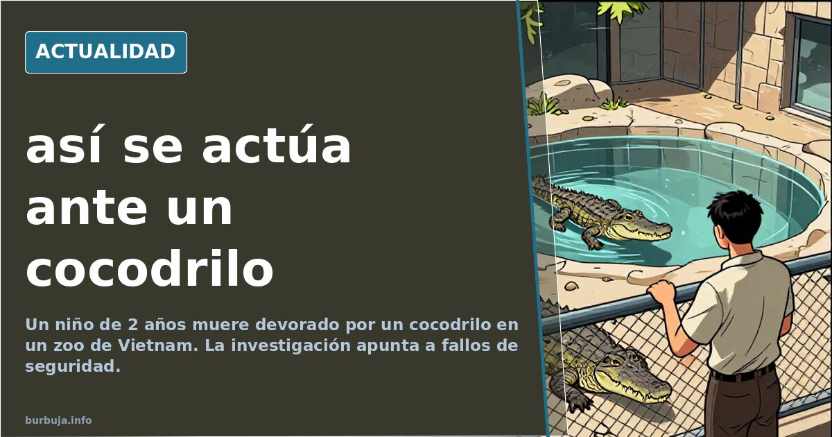 así se actúa ante un cocodrilo