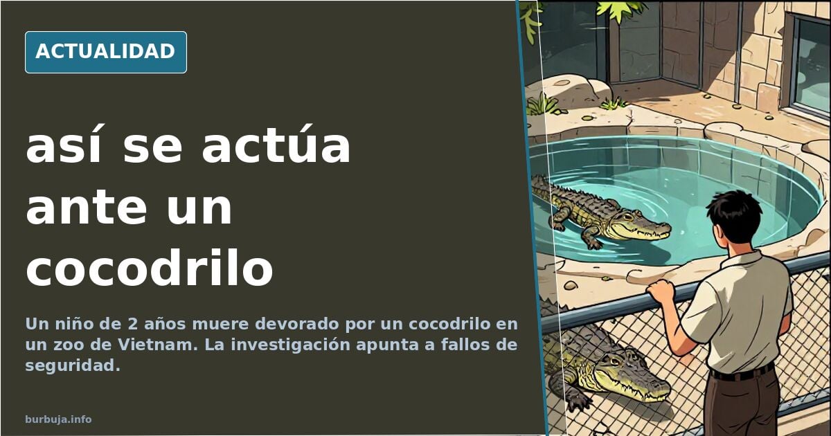así se actúa ante un cocodrilo