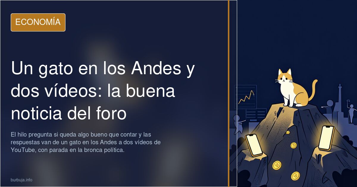 Un gato en los Andes y dos vídeos: la buena noticia del foro