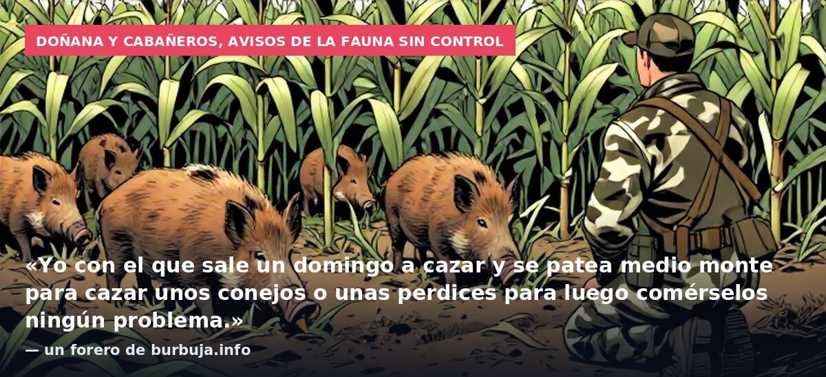 Doñana y Cabañeros, avisos de la fauna sin control: «Yo con el que sale un domingo a cazar y se patea medio monte para cazar unos conejos o unas perdices para luego comérselos ningún problema.» — un forero de burbuja.info