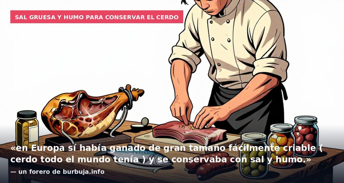 Sal gruesa y humo para conservar el cerdo: «en Europa sí había ganado de gran tamaño fácilmente criable ( cerdo todo el mundo tenía ) y se conservaba con sal y humo.» — un forero de burbuja.info