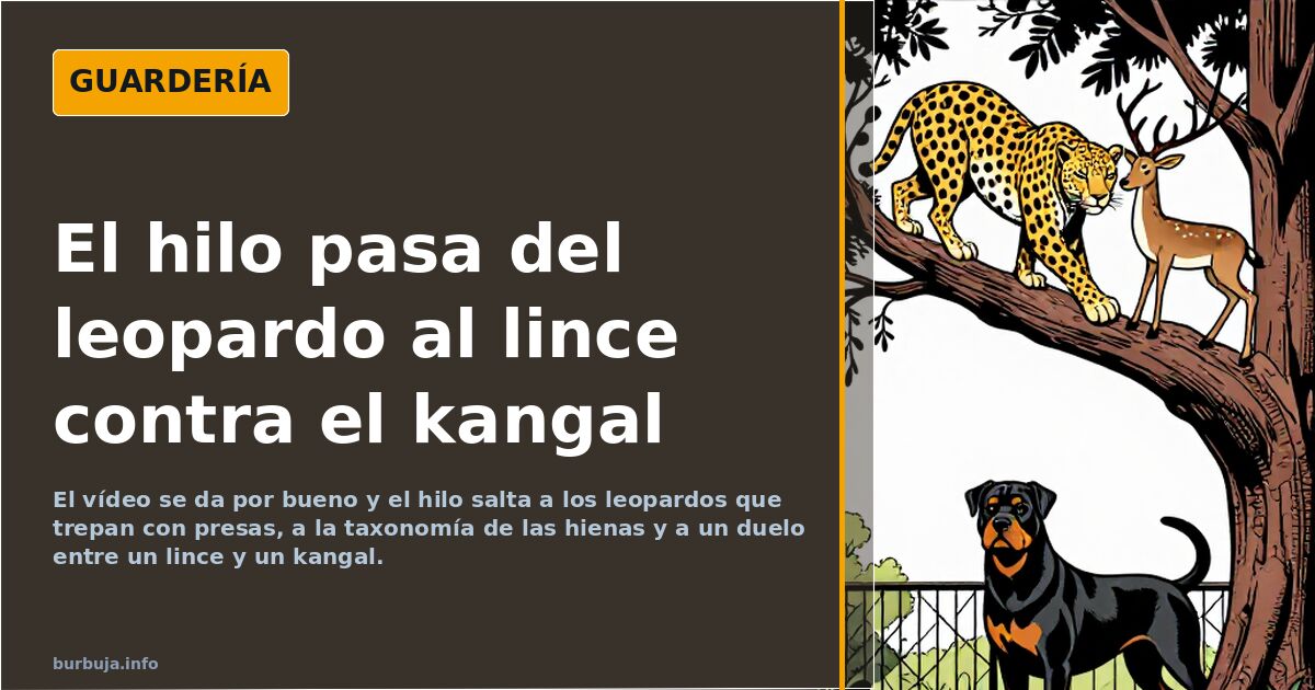 El hilo pasa del leopardo al lince contra el kangal