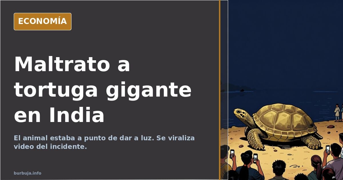 Tipo maltrata a tortuga gigante