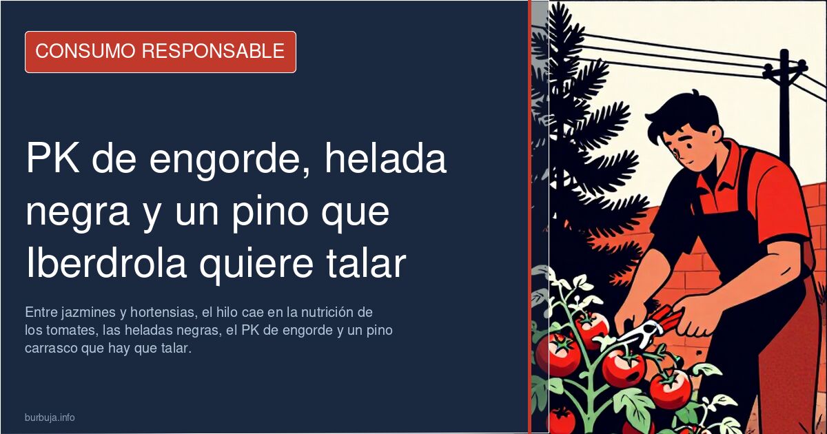 PK de engorde, helada negra y un pino que Iberdrola quiere talar