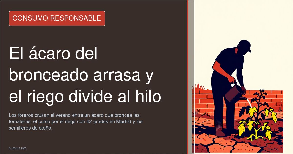 El ácaro del bronceado arrasa y el riego divide al hilo
