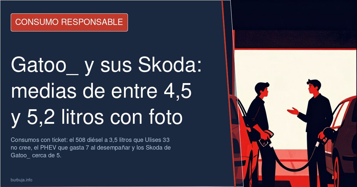 Gatoo_ y sus Skoda: medias de entre 4,5 y 5,2 litros con foto