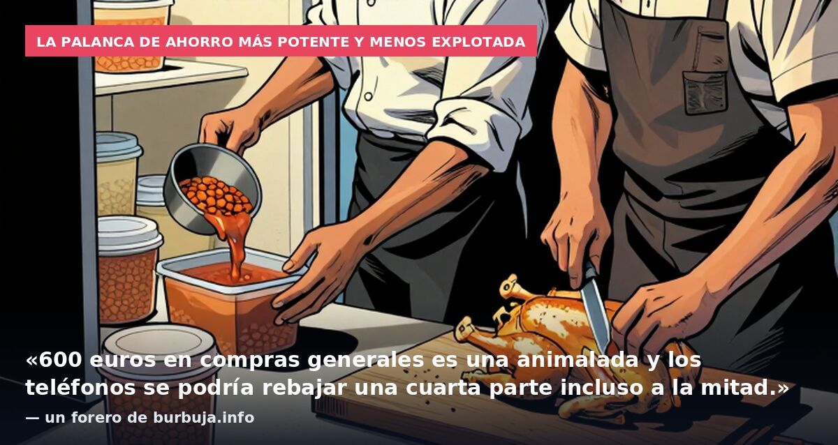 La palanca de ahorro más potente y menos explotada: «600 euros en compras generales es una animalada y los teléfonos se podría rebajar una cuarta parte incluso a la mitad.» — un forero de burbuja.info
