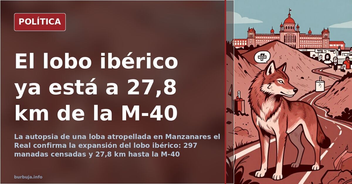 Iberian wolf reaches 27.8 km from Madrid's M-40: 297 packs and rising census