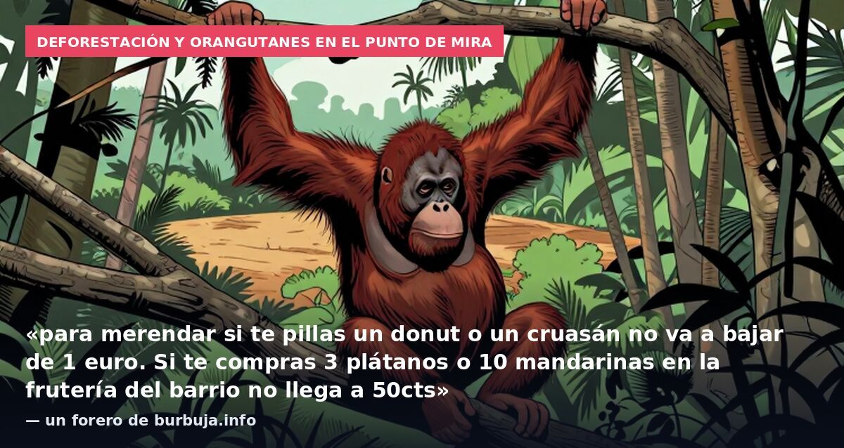 Deforestación y orangutanes en el punto de mira: «para merendar si te pillas un donut o un cruasán no va a bajar de 1 euro. Si te compras 3 plátanos o 10 mandarinas en la frutería del barrio no llega a 50cts» — un forero de burbuja.info