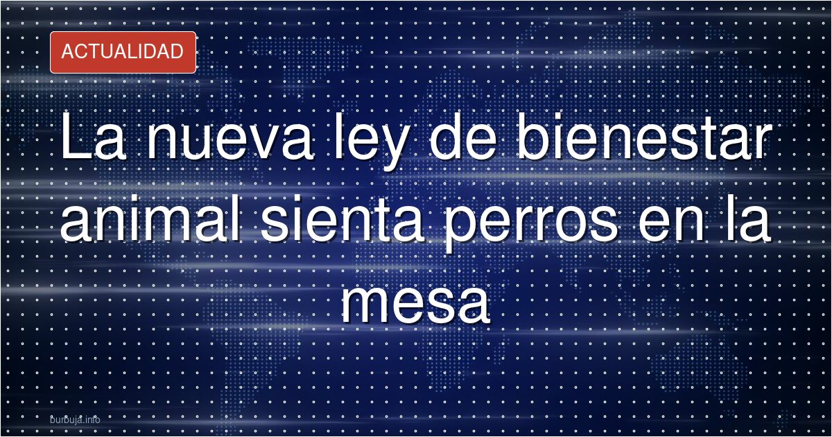 Perros en restaurantes: la ley que enfrenta a clientes y hosteleros