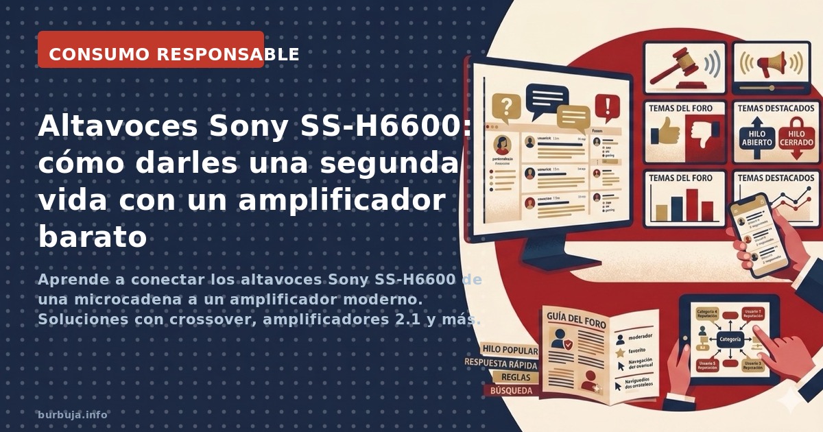 Aprende a conectar los altavoces Sony SS-H6600 de una microcadena a un amplificador moderno. Soluciones con crossover, amplif