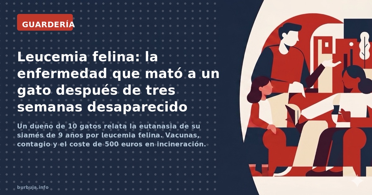 Un dueño de 10 gatos relata la eutanasia de su siamés de 9 años por leucemia felina. Vacunas, contagio y el coste de 500 euro