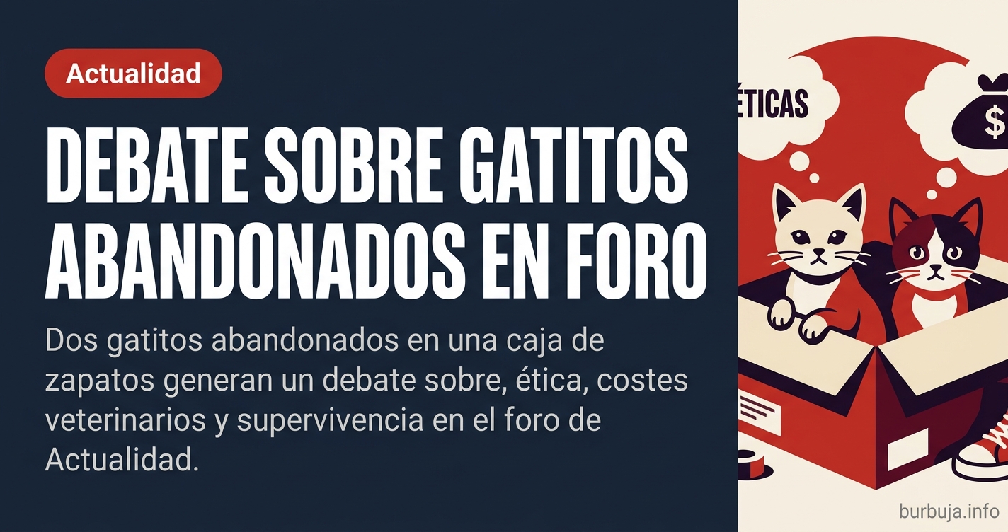 + Gatitos