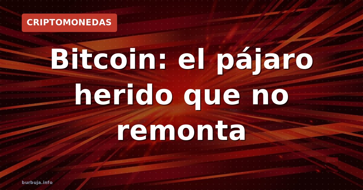 Bitcoin: el pájaro herido que no remonta