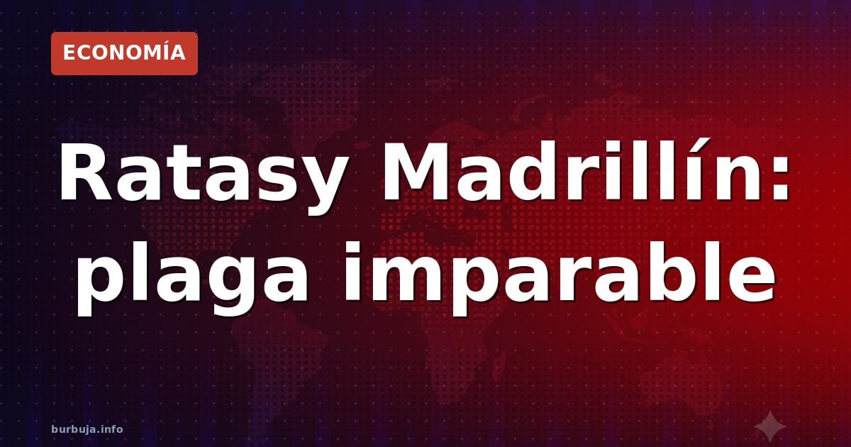 Ratas junto a contenedores de basura en una calle del barrio de Salamanca de Madrid, una de las zonas afectadas por la plaga 