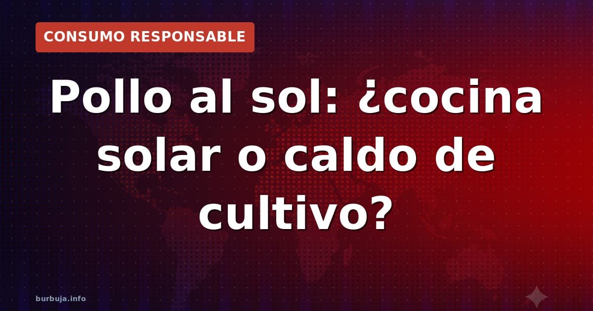Pollo al sol: ¿cocina solar o caldo de cultivo?