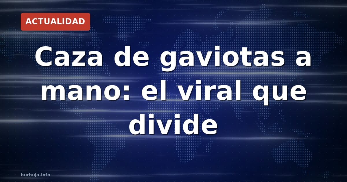 Cazar gaviotas a mano: el vídeo que incendia las redes